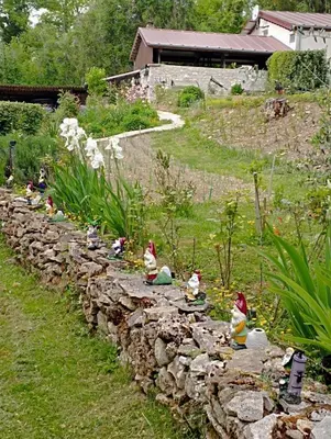Jardin de l'établissement Gîte l'Olivianne
