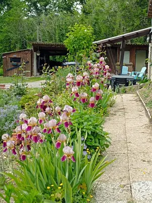 Jardin de l'établissement Gîte l'Olivianne