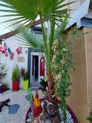 Jardin de l'établissement Au Ch'ti Marnais. Gîte au cœur des vignes.