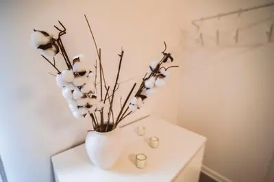 Plan de l'établissement Charmant appartement à Épernay