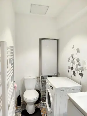 Salle de bains dans l'établissement Sublime appart rénové duplex centre ville 4pers wifi