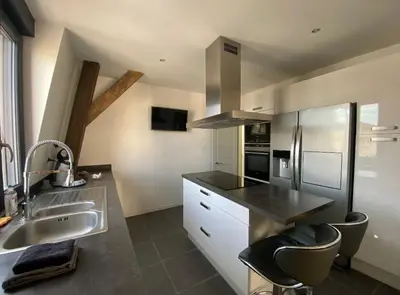 Cuisine ou kitchenette dans l'établissement Millésime magnifique appart centre Epernay