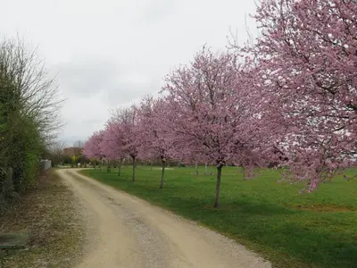 Paysage naturel près de la maison de vacances