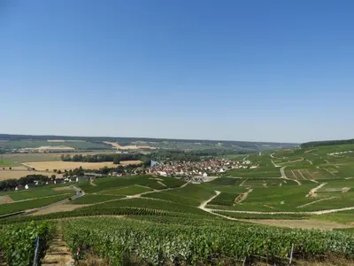 Paysage naturel près de l'appartement