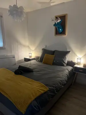 Un ou plusieurs lits dans un hébergement de l'établissement Appartement cosy face à la basilique Saint Remi