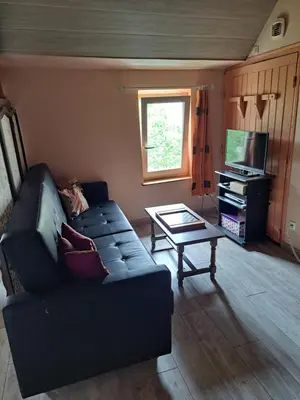 Télévision ou salle de divertissement dans l'établissement La Hulottière-Gîte La Grange