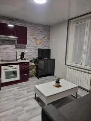Cuisine ou kitchenette dans l'établissement Studio Quai 1 Voie A parking gratuit