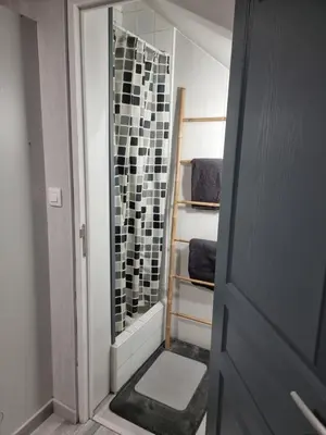 Salle de bains dans l'établissement Studio Quai 1 Voie A parking gratuit