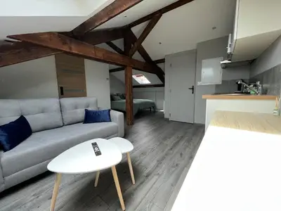 Cuisine ou kitchenette dans l'établissement Studio entièrement rénové