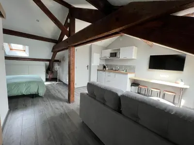 Cuisine ou kitchenette dans l'établissement Studio entièrement rénové