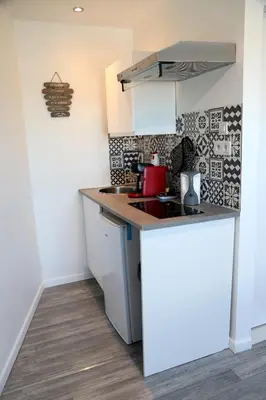 Cuisine ou kitchenette dans l'établissement Jupiter