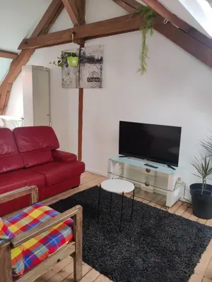 Télévision ou salle de divertissement dans l'établissement Gite l'olivier
