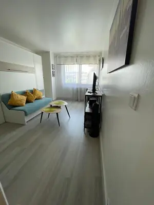 Télévision ou salle de divertissement dans l'établissement Studio-Champagne Lanson-Proche Hôpitaux-Universités-Parc Léo Lagrange