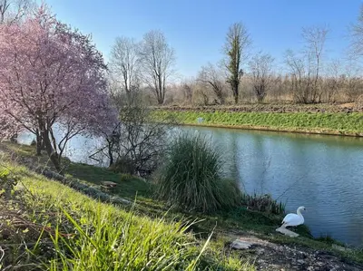 Vue sur la rivière ou le fleuve situé(e) à proximité de la maison de vacances