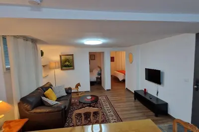 Télévision ou salle de divertissement dans l'établissement Le Cygne