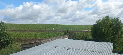 Paysage naturel près de la maison de vacances
