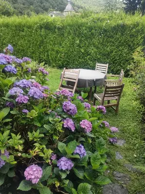 Jardin de l'établissement Authentic home in Semoy valley (France)