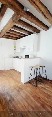 Cuisine ou kitchenette dans l'établissement Superbe Studio Bord de Marne