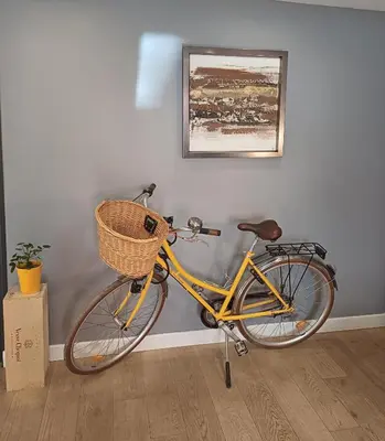 Vélo sur le terrain de l'établissement Le grenier à sel, Chaleureux 2 Chambres-Centre-Gare ou dans les environs
