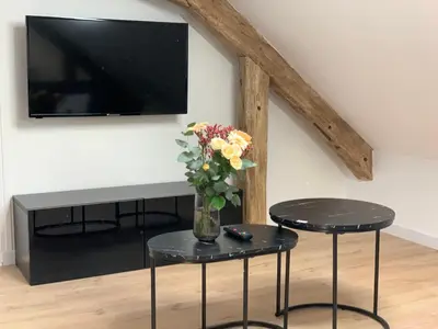 Télévision ou salle de divertissement dans l'établissement Le pinot, 30 min de Reims
