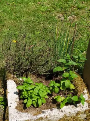 Jardin de l'établissement Charmante maison dans village