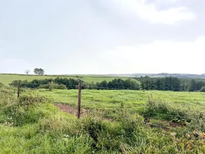 Paysage naturel près de la maison de vacances