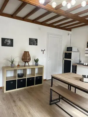 Cuisine ou kitchenette dans l'établissement Superbe appartement face au Château - 2 chambres 5 pers - VERLAINE