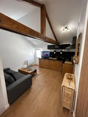 Cuisine ou kitchenette dans l'établissement Studio cosy rémois