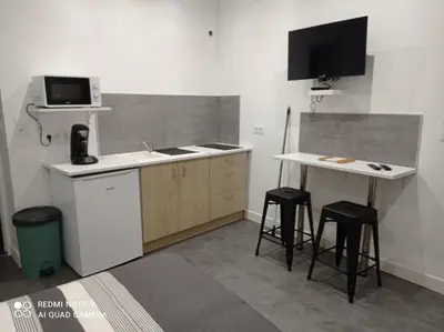 Cuisine ou kitchenette dans l'établissement Ravissant Studio