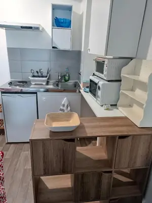 Cuisine ou kitchenette dans l'établissement Logement 1