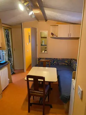 Cuisine ou kitchenette dans l'établissement Mobil-Home standard