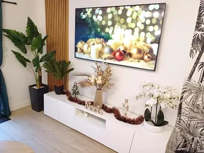 Télévision ou salle de divertissement dans l'établissement L'Escale Tropicale, appartement indépendant avec terrasse privative