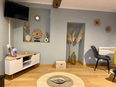 Télévision ou salle de divertissement dans l'établissement Les bulles agéennes