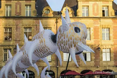 Animaux dans l'appartement ou à proximité