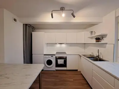 Cuisine ou kitchenette dans l'établissement Appartement 