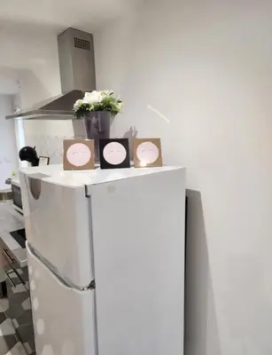 Cuisine ou kitchenette dans l'établissement Le cocon