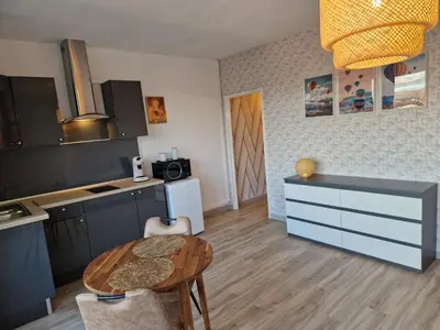 Cuisine ou kitchenette dans l'établissement Studio avenue de Champagne