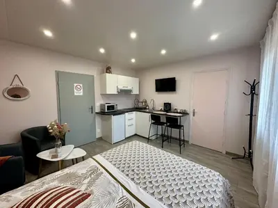 Cuisine ou kitchenette dans l'établissement Studio Millésime