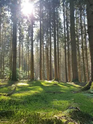 Paysage naturel près de la maison de vacances
