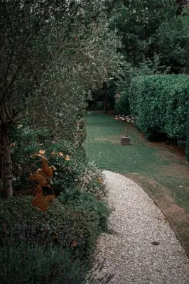 Jardin de l'établissement LA VIGNERAIE