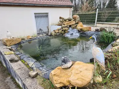 Jardin de l'établissement Chez Jaja et Phiphi