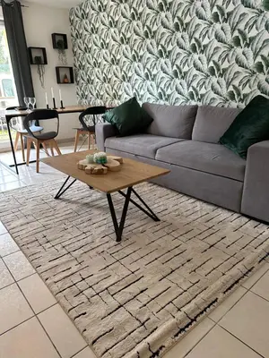 Coin salon dans l'établissement Appartement de Charles