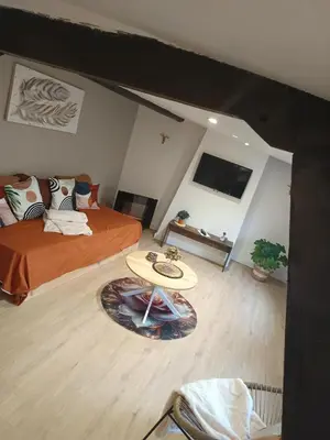 Un ou plusieurs lits dans un hébergement de l'établissement A1 Champagne Résidence - 200 m2 14 personnes 2 toilets 4 showers - hyper centre - Chalons en Champagne
