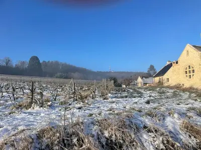 L'établissement Au cœur des Vignes en hiver