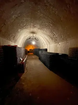 Plan de l'établissement Au cœur des Vignes