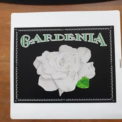 Gardenia