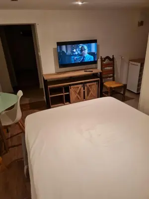 Télévision ou salle de divertissement dans l'établissement appartement dans un village vigneron