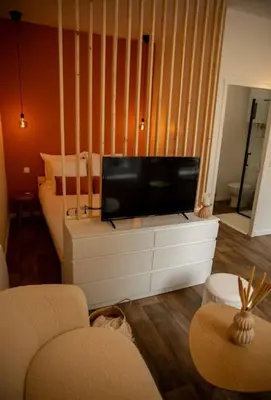 Télévision ou salle de divertissement dans l'établissement Studio la halte ducale #2