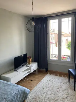 Télévision ou salle de divertissement dans l'établissement Le Bras d'Or