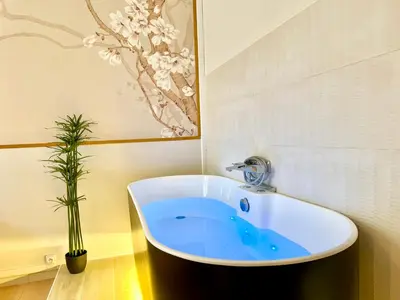 Salle de bains dans l'établissement Relax Inn Champagne - Reims Balnéo